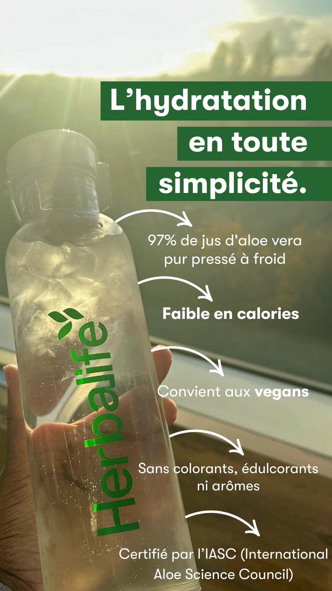 NOUVEAUTE !!!! Boisson concentrée à l'aloe vera Saveur mangue 1,892 litre