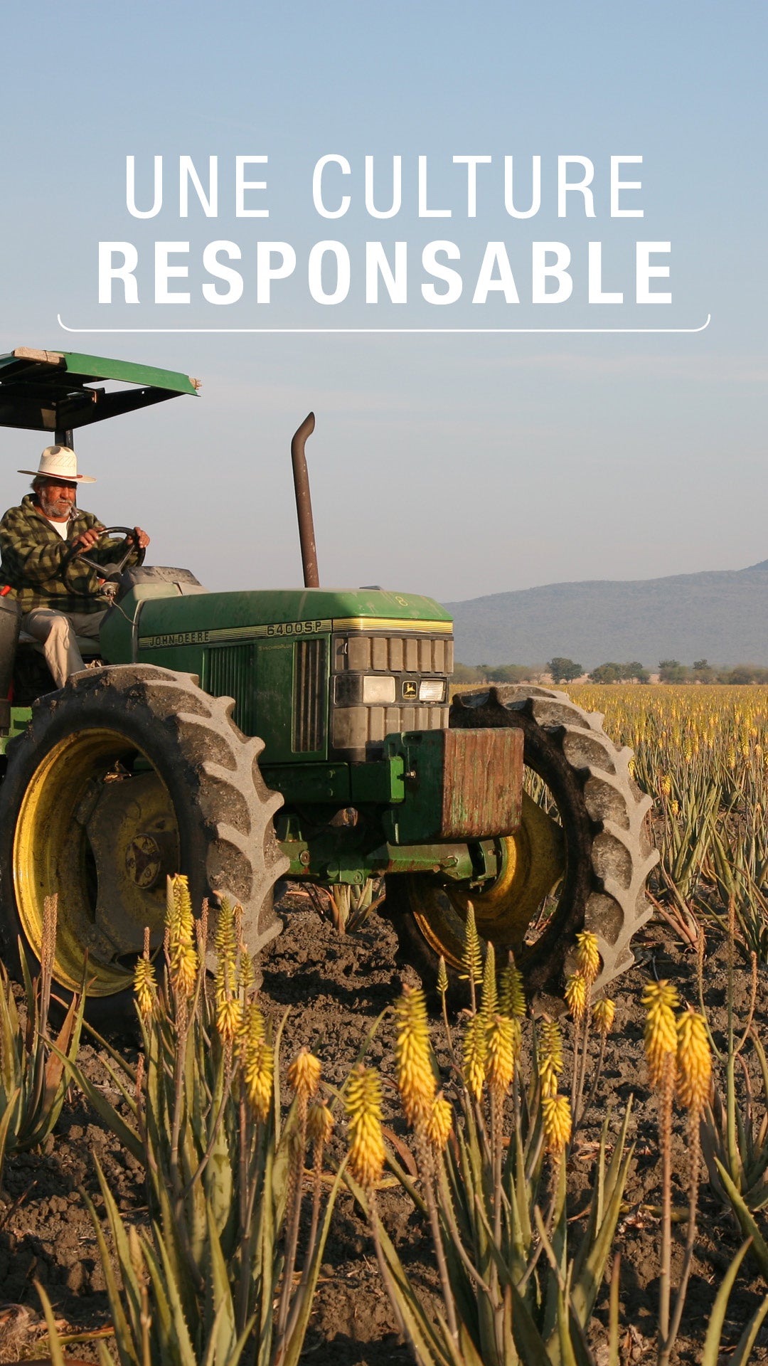 Herbalife AloeMax 473 ml