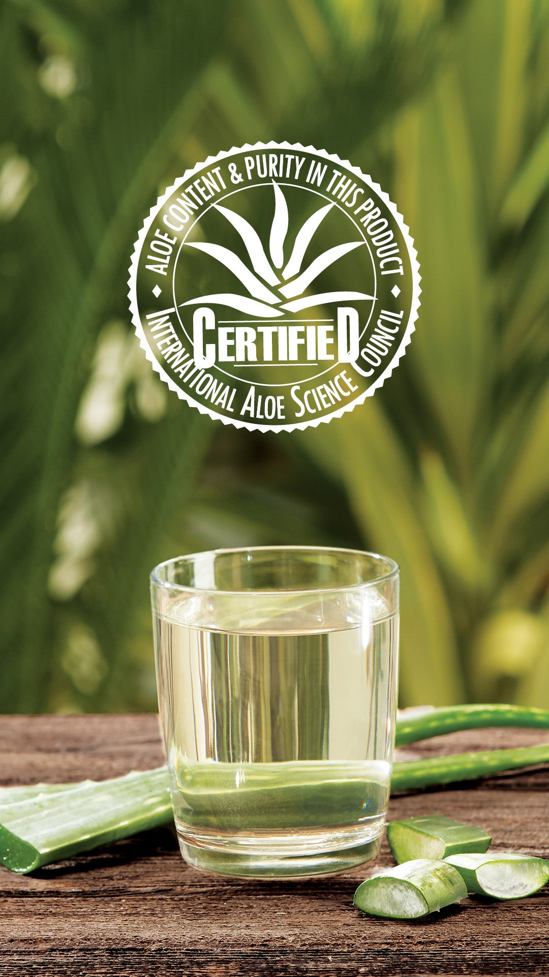 NOUVEAUTE !!!! Boisson concentrée à l'aloe vera Saveur mangue 1,892 litre