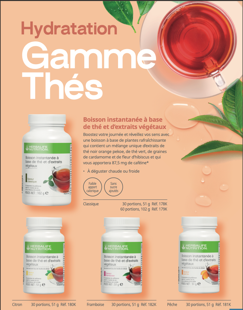 Boisson Instantanée à base de Thé 51 g